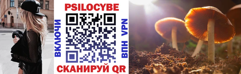 купить наркотики сайты  Каргополь  Псилоцибиновые грибы ЛСД 